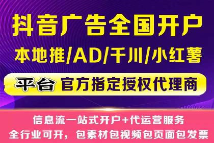 百度竞价与搜索引擎优化（SEO）结合的经典案例