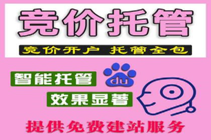 竞价代运营助力电商销量翻倍案例